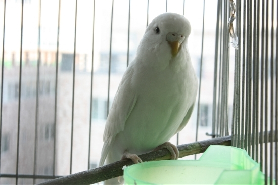 131_dksehd2468.jpg?type=w3