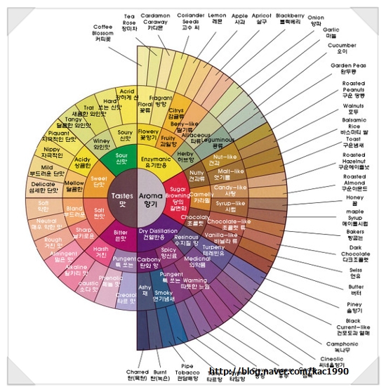 Coffee Taster's Flavor Wheel 네이버 블로그