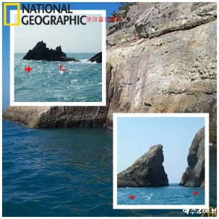 cat%B0%A1%B8%B0%BF%A9%2C%B0%C5%BA%CF%BC%D5%C6%F7%C0%CE%C6%AE.jpg?type=w3