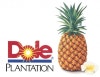 dole pineapple express
