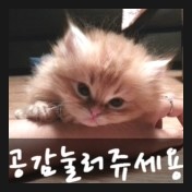 까치골오리돌구이 이미지