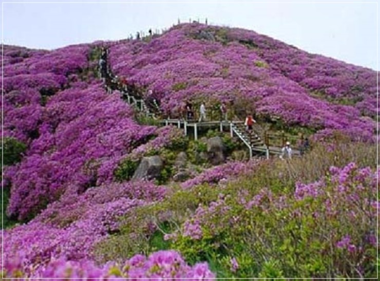 동천주유소 이미지