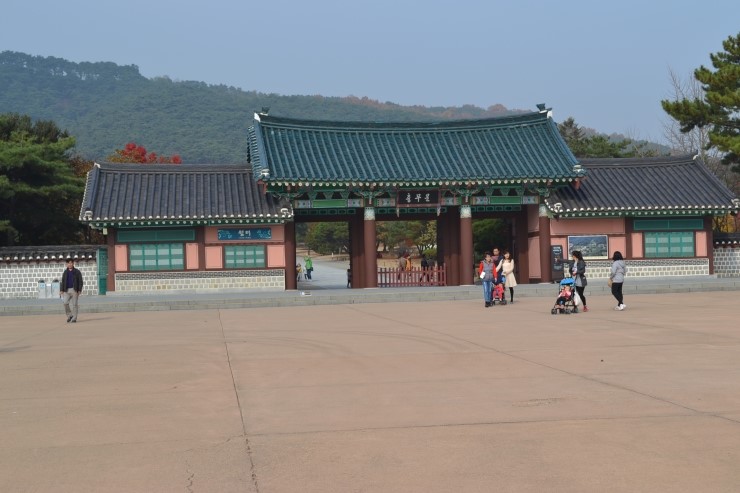 고목나무 이미지
