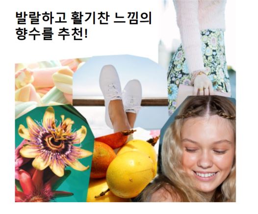 나의 이미지에 맞는 향수찾기 | 인스티즈