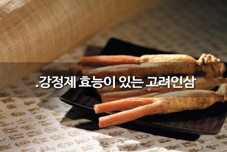 고려인삼 이미지