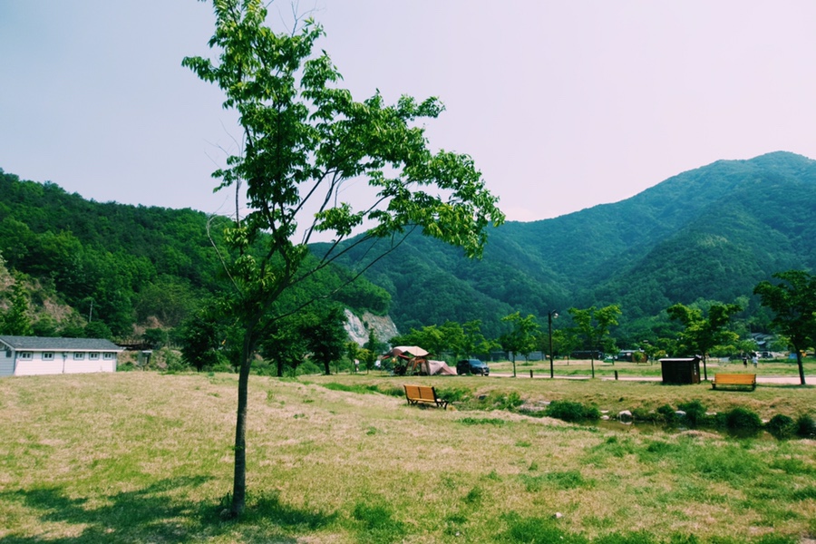 금수문화공원야영장 이미지