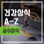 섬네일